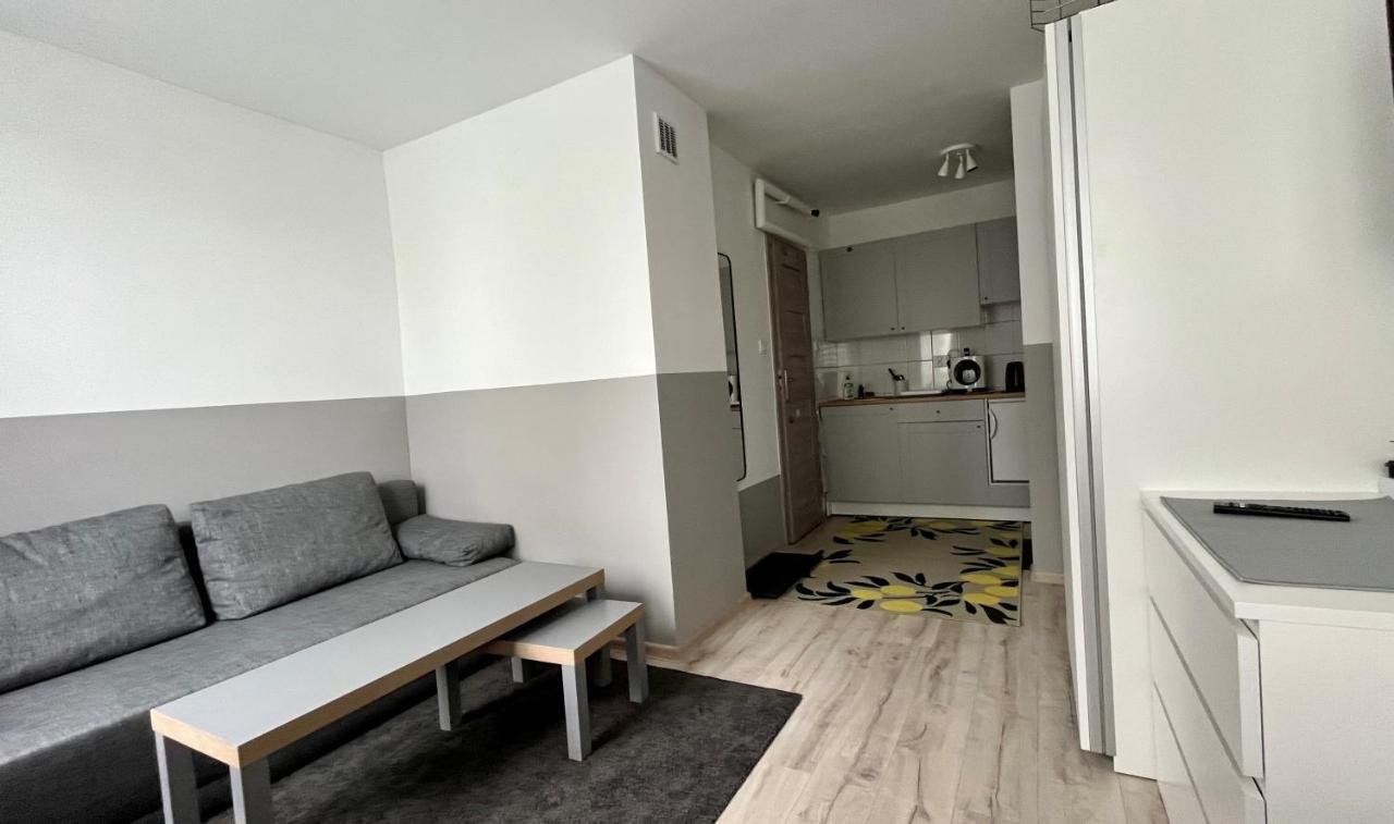 Mlawska 33 Apartment Rypin Exterior foto